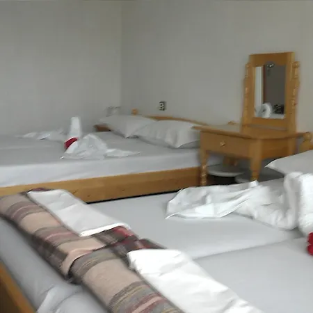 Drazhev Guest house *