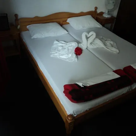 Drazhev 3* Обзор