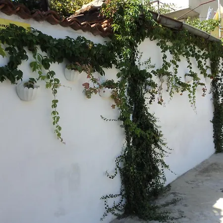 Гостевой дом Drazhev Обзор