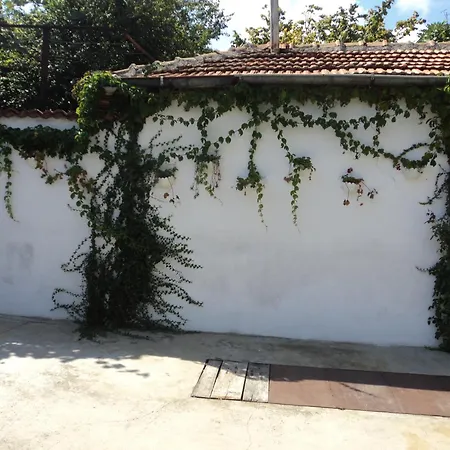Drazhev Guest house *